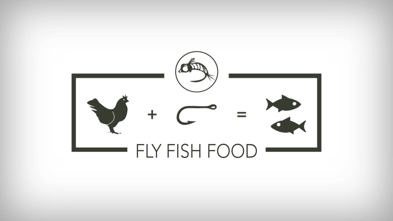 Fly Fish Food